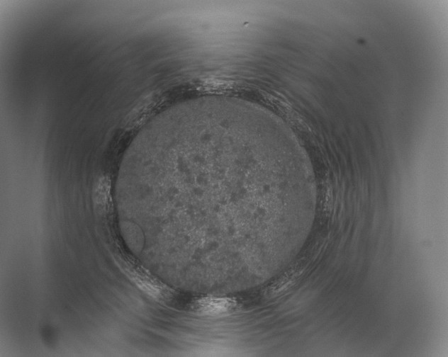 X0000072510711200607290132