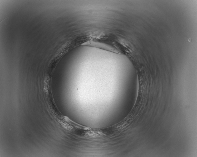 X0000072510712200607290132