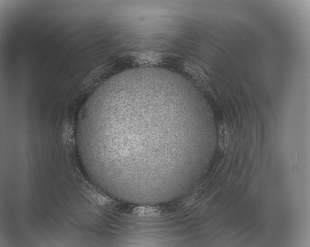 X0000072510714200607290132