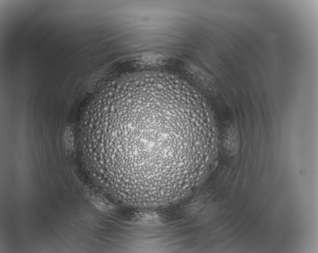 X0000072510715200607290132