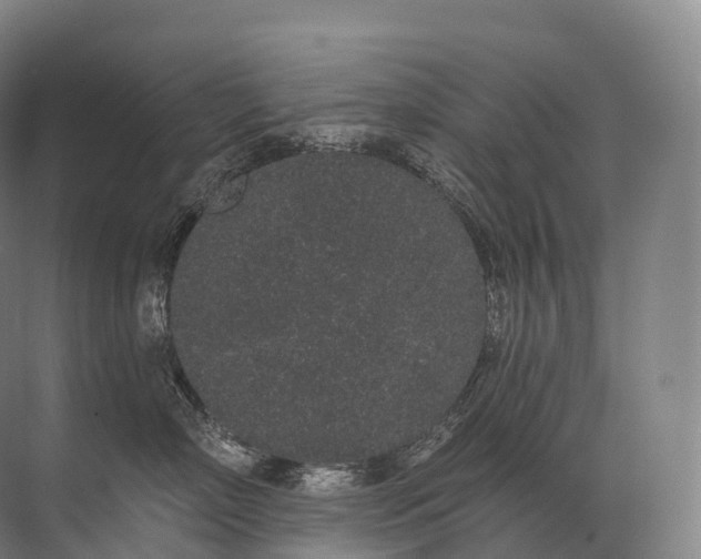 X0000072510718200607290132