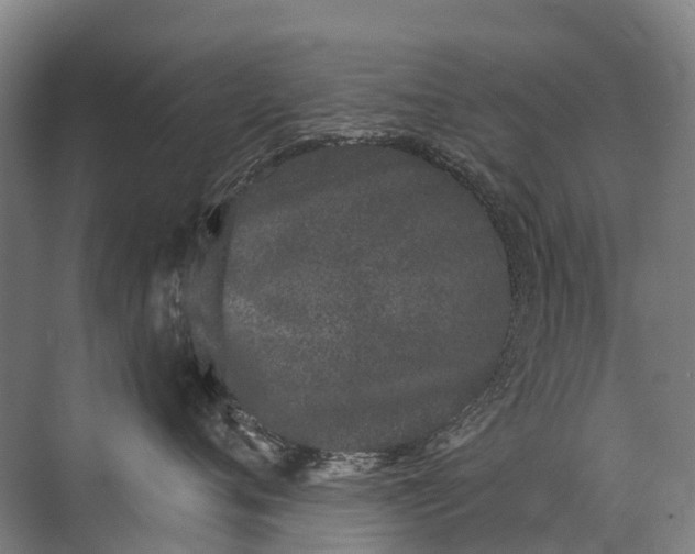 X0000072510720200607290132