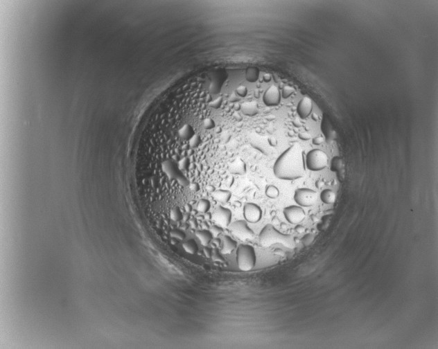 X0000072510721200607290131