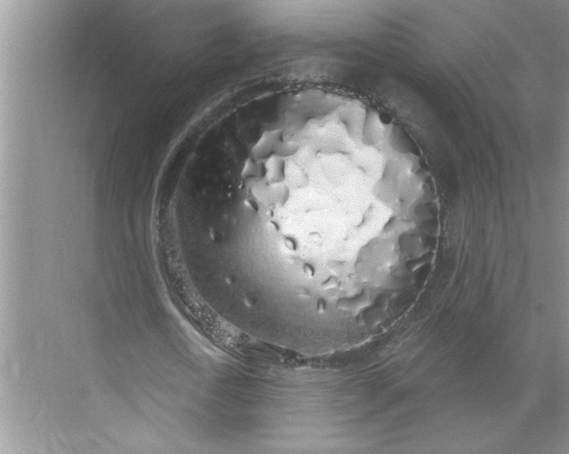 X0000072510722200607290131