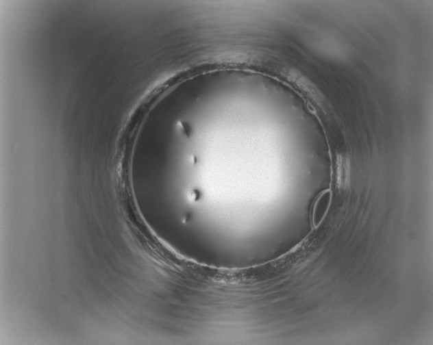 X0000072510723200607290131