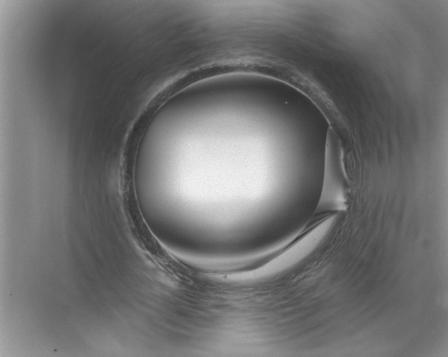 X0000072510724200607290131