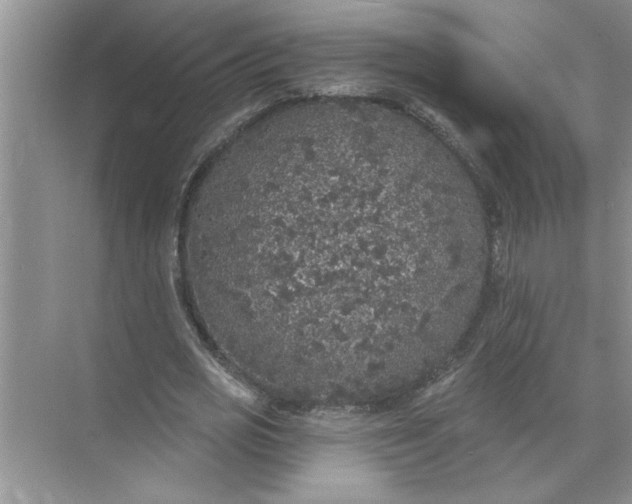 X0000072510725200607290131