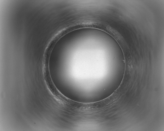 X0000072510728200607290132