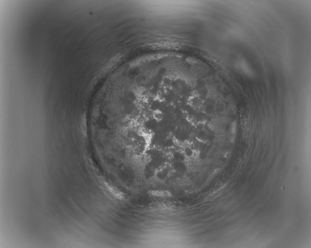 X0000072510729200607290132