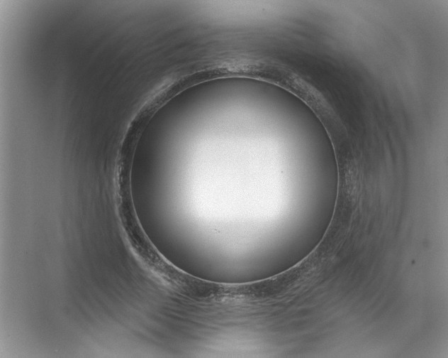 X0000072510730200607290132