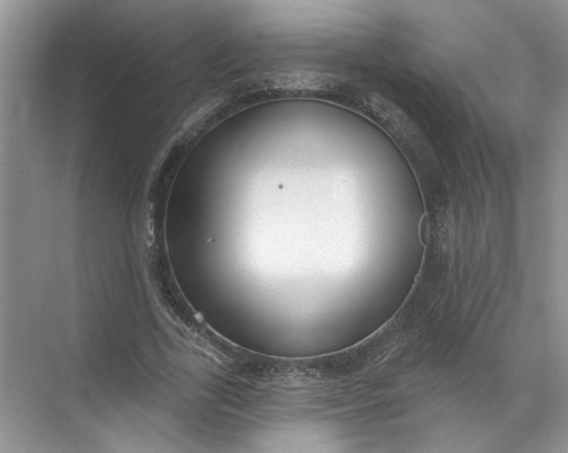 X0000072510731200607290132