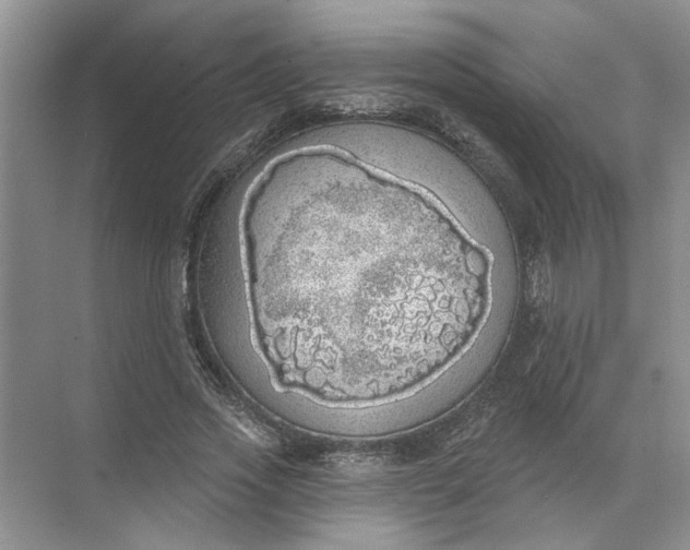 X0000072510733200607290132