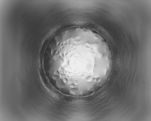 X0000072510734200607290132