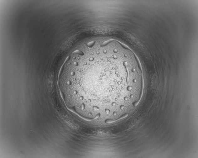 X0000072510737200607290132