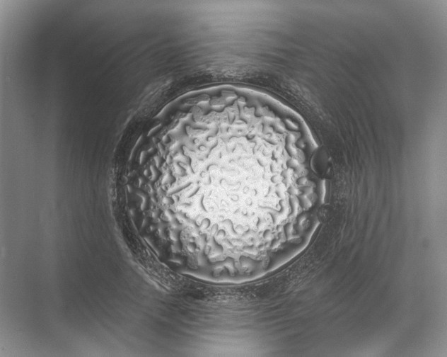 X0000072510738200607290132