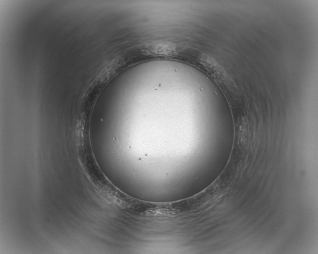 X0000072510739200607290132