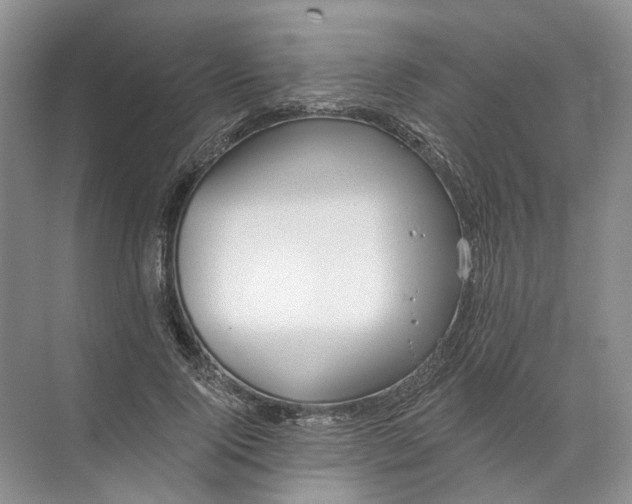 X0000072510740200607290132