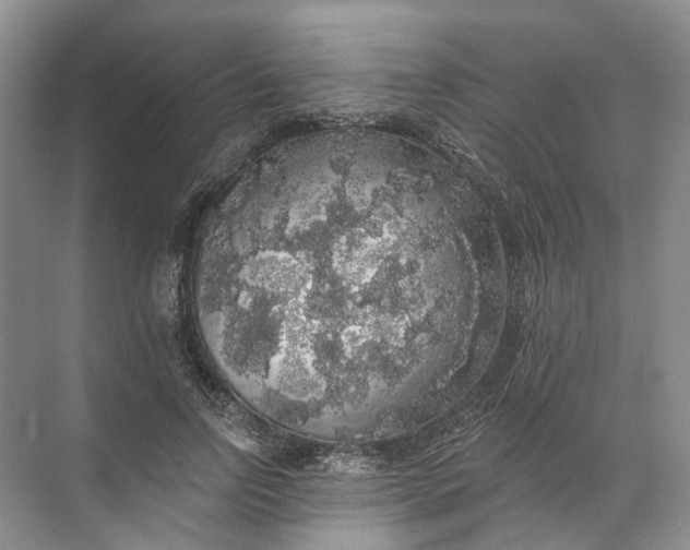 X0000072510742200607290132