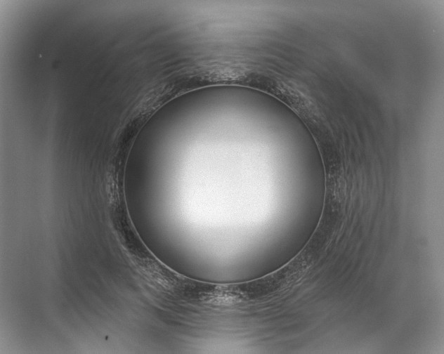 X0000072510743200607290132