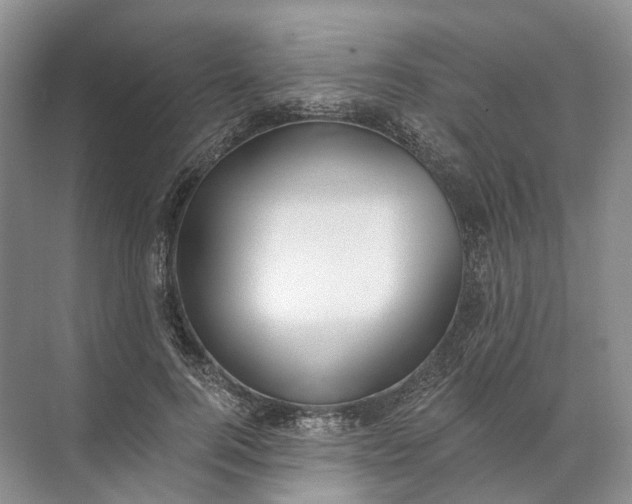 X0000072510744200607290132