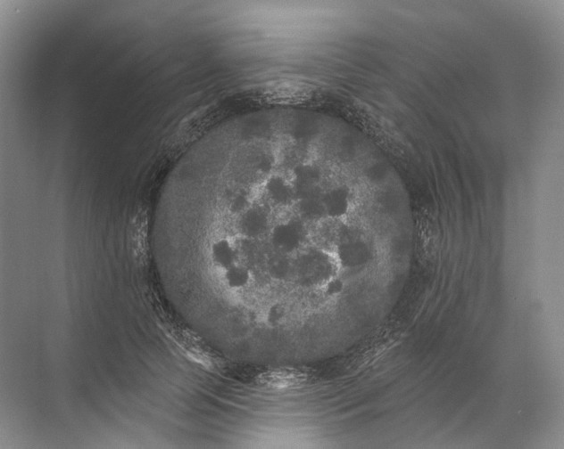 X0000072510745200607290132