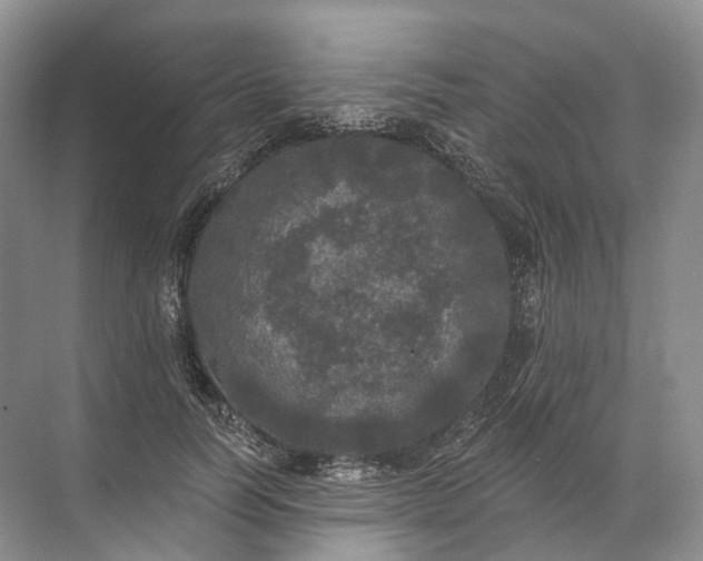 X0000072510746200607290132