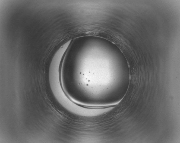 X0000072510748200607290132