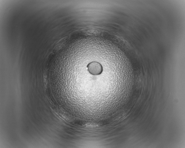 X0000072510749200607290132