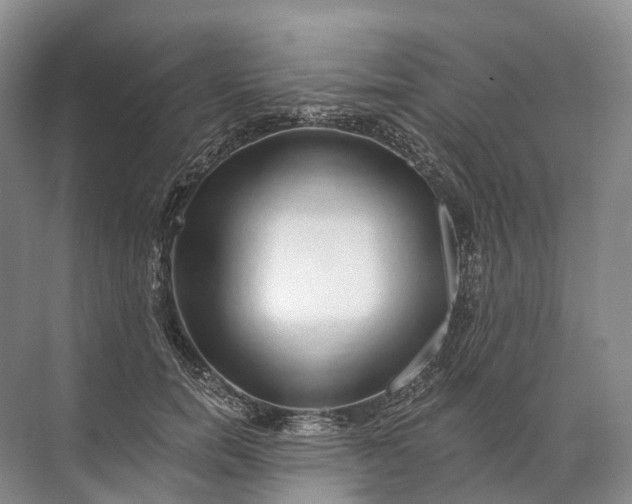 X0000072510750200607290132