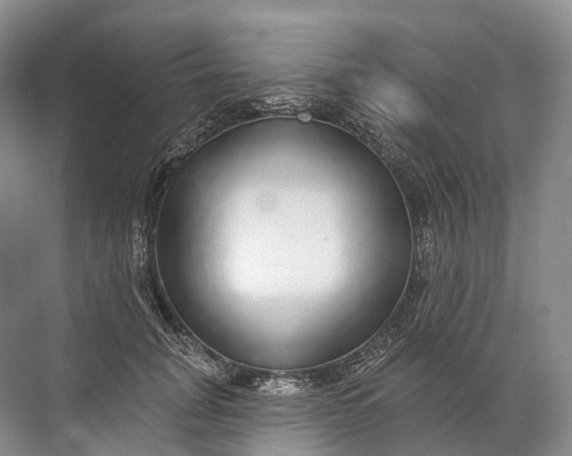 X0000072510751200607290132