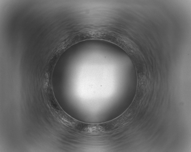 X0000072510752200607290132