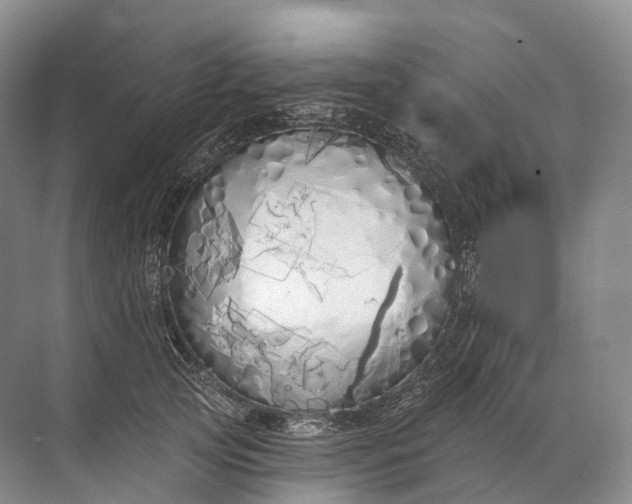 X0000072510753200607290132