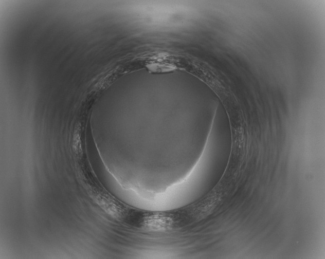 X0000072510754200607290132