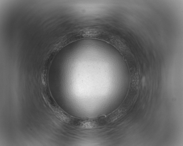 X0000072510755200607290132