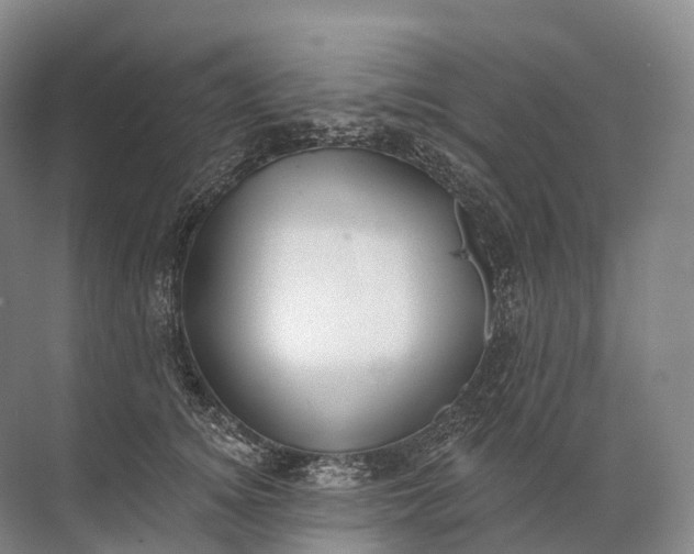 X0000072510756200607290132