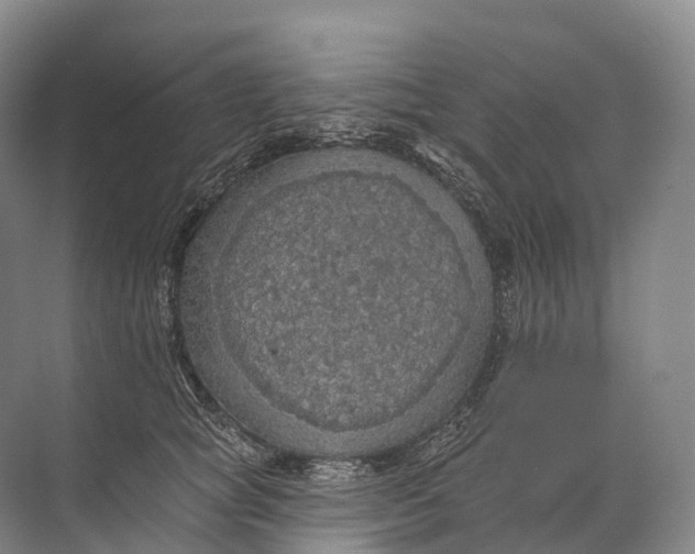 X0000072510757200607290132