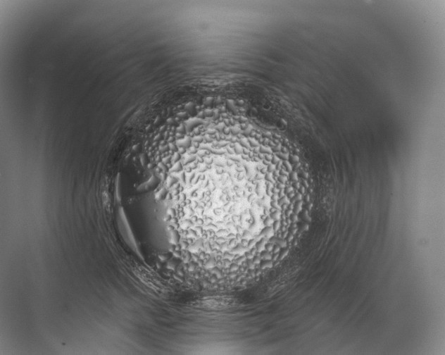 X0000072510758200607290132