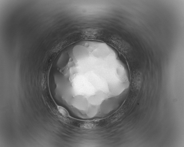 X0000072510759200607290132