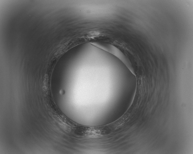 X0000072510760200607290132