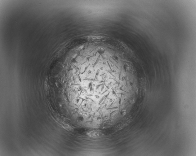 X0000072510761200607290132