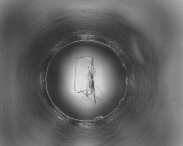 X0000072510763200607290132