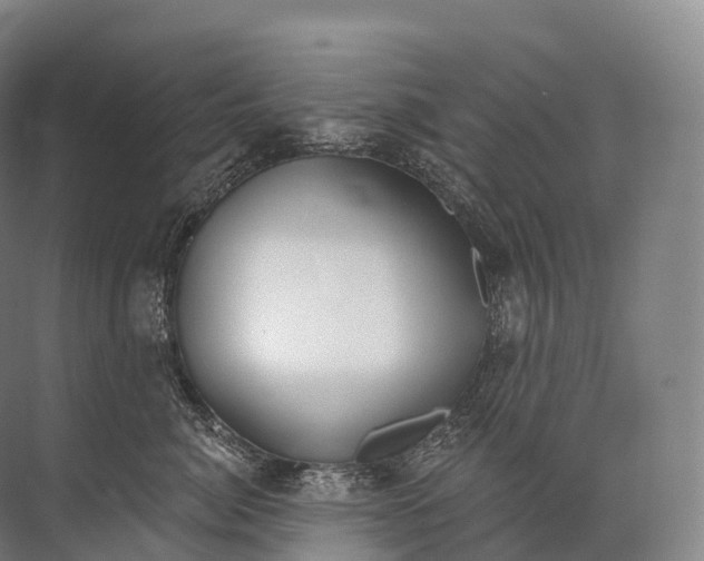 X0000072510764200607290132