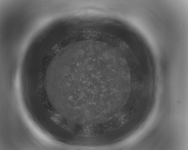 X0000072510765200607290132