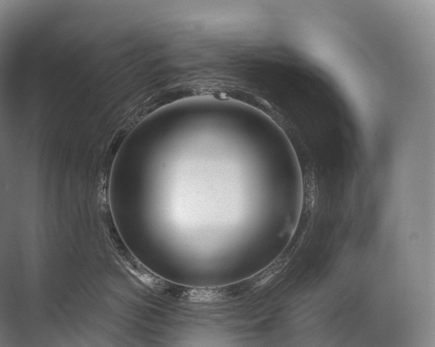 X0000072510766200607290132