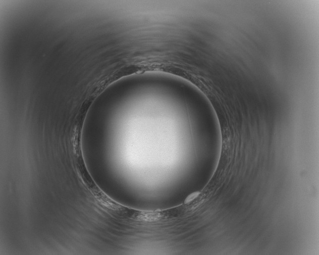 X0000072510767200607290132