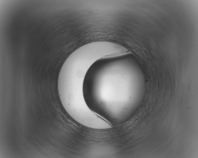 X0000072510768200607290132