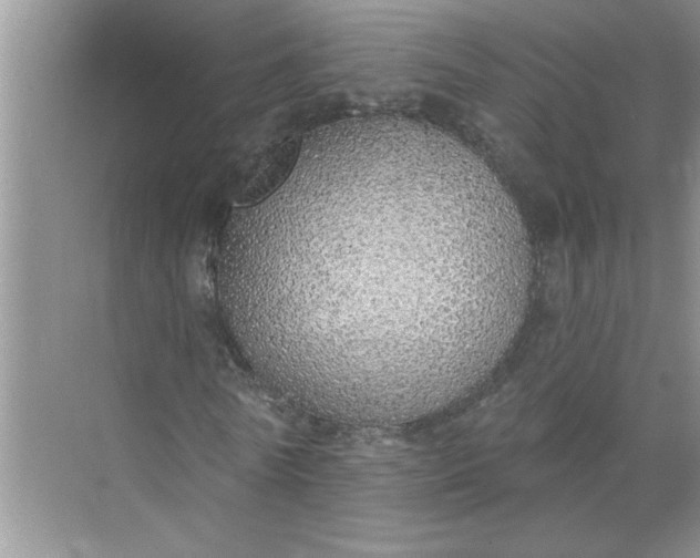 X0000072510770200607290131