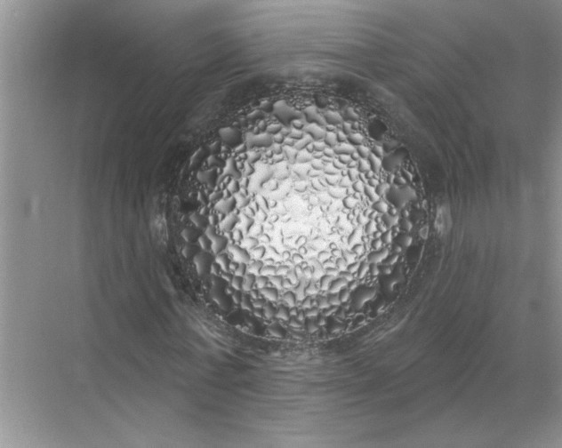 X0000072510771200607290131