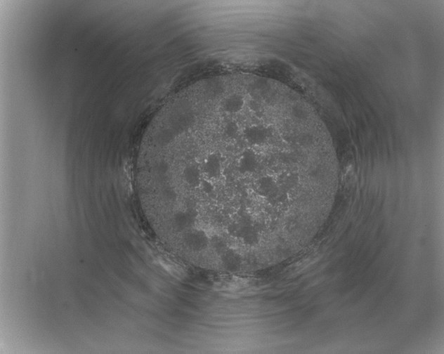 X0000072510772200607290131