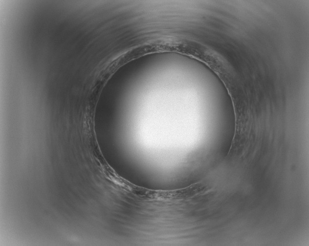 X0000072510773200607290131